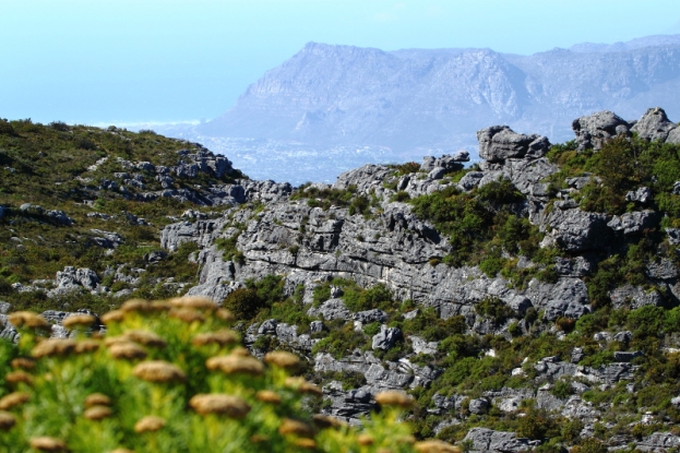 Another view from Table Mountain