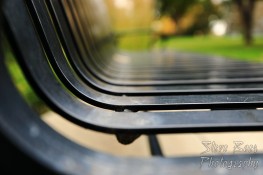 Park bench with shallow depth of field (dof)